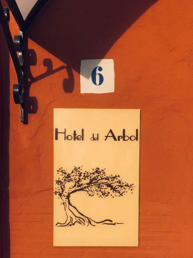 Hotel Del Arbol 卡迪瓦 外观 照片
